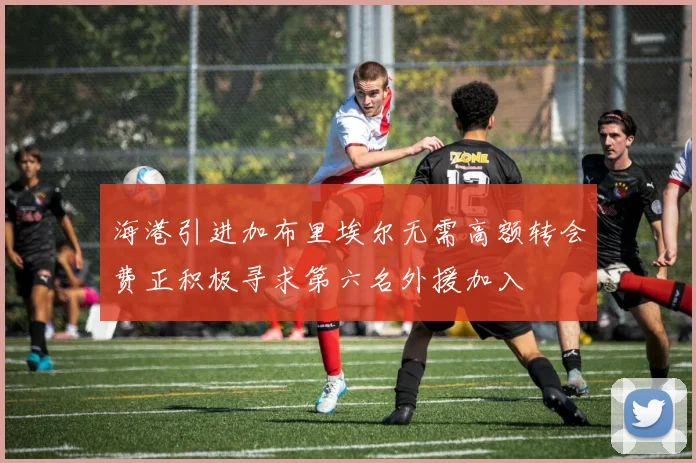 海港引进加布里埃尔无需高额转会费正积极寻求第六名外援加入
