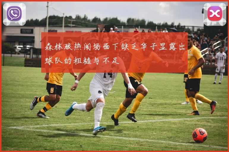 森林狼热闹场面下缺乏华子显露出球队的粗糙与不足