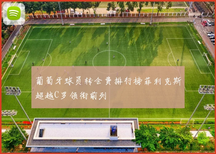 葡萄牙球员转会费排行榜菲利克斯超越C罗领衔前列